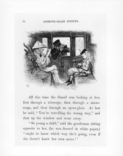 Looking-Glass Insects, illustration from 
